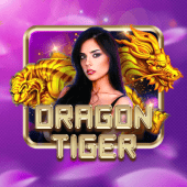 Dragon Tiger wk777 login